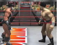 Masters of wrestling verekedős játékok